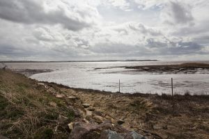 elloughton 10 sm.jpg